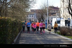 DSC_8775 copia